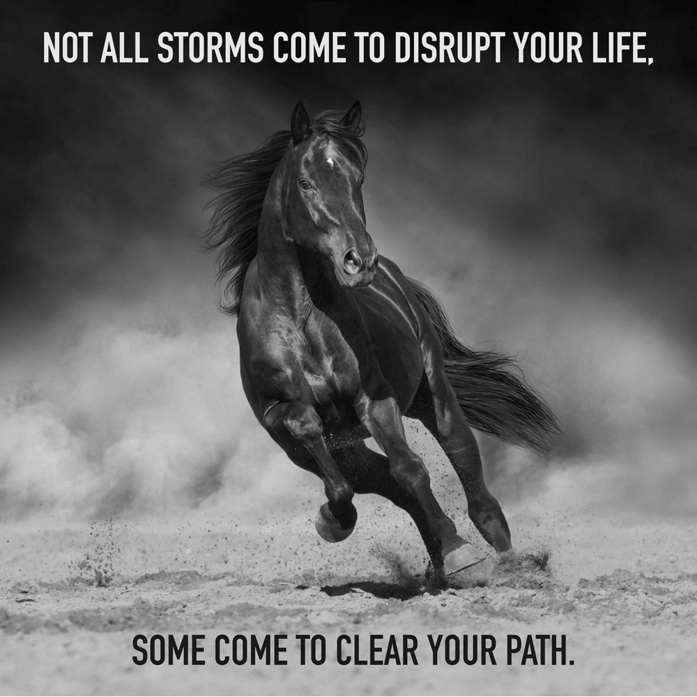 A little COWGIRL MOTIVATION - Picture 9 of 16
